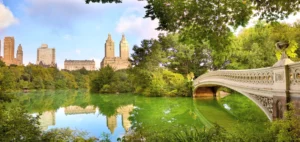 A panoramic view of Central Park, New York City, featuring the Bow Bridge over a calm lake, lush green trees, and the city skyline in the background under a blue sky.